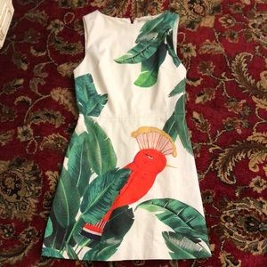 Alice and Olivia bird dress